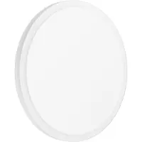 Eglo Led wandlamp Mongodio 1 20cm wit
