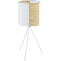 Eglo Tripod tafellamp Arnhem
