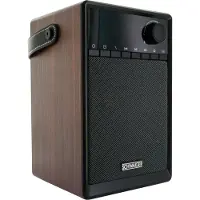 Schwaiger draagbare radiowekker Bluetooth-luidspreker wekker LED-display Sleep