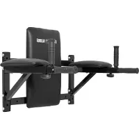 Gorilla Sports Ab Dip Combi Station