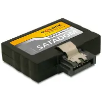 DeLOCK SATA 3 Gb/s Flash Modul 2 GB Vertical / Low Profile
