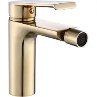 REA Bidetmengkraan Hass Gold Brush