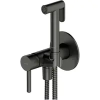 Omnires Y - Inbouw bidetkraan met douche en inbouwdeel, grafiet SYSYBI2GR
