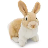 Nici Rabbit Teddy 20 Cm Beige Kinderen