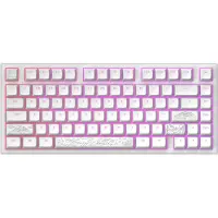 Dark Project - ALU Terra Nostra - Mechanisch Gaming Toetsenbord ANSI (ENG) - Wit
