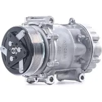 RIDEX 447K0498 Aircopomp