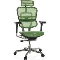 Hjh OFFICE Bureaustoel / Directiestoel ERGOHUMAN GEN2 Netstof groen