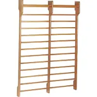 Toorx Dual Wallbar - Dubbel Wandrek