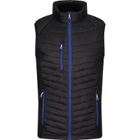 Regatta Heren Navigate Gewatteerd Hybride Gilet (Zwart/Nieuw Royal)