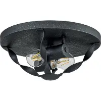 QUOIZEL LED Plafondlamp Bradbury | 2X E27 Max 60W | Dimbaar | Grey Ash