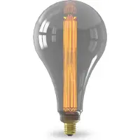Calex XXL Obsy LED-lamp, E27, 3,5W, warm wit licht, dimbaar, titanium