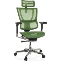 Hjh OFFICE Bureaustoel / Directiestoel ERGOHUMAN SLIM GEN2 Netstof groen