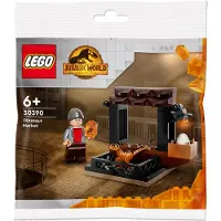 LEGO Jurassic World Dinosaurus Markt 30390, Bouwset, vanaf 6 jaar, Kunststof, 30 onderdelen