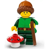 LEGO Serie 22: Houten elf