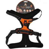 Spotted! Pro Harnas Oranje XL