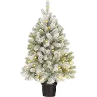 Black Box Trees Nagoya kerstboom potted led groen frosted 50L TIPS 175 battery operated en timer d55 cm