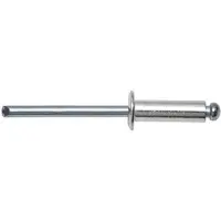 Swg 93752055 Klinknagel met laagbolkop (Ø x l) 5 mm x 21 mm Aluminium 250 stuk(s)