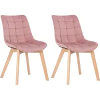 CLP Passaic Set van 2 Eetkamerstoelen - Fluweel roze