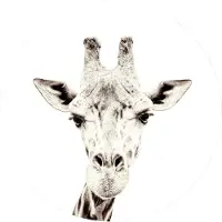 Groovy Magnets Giraffe Magneetsticker – Ø60 cm