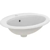 Ideal standard Eurovit - Wastafel 56x46 cm, met overloop, kraangat, wit E874901