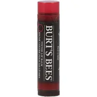 Burt's Bees Tinted Lip Balm Daisy - 4,2ml