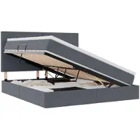 vidaXL Opslag bed met matras Donkergrijs 160 x 200 cm Fluweel