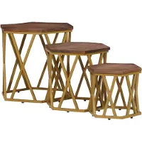 vidaXL Salontafels Bruin 55 x 55 x 50 cm Massief Mango Hout