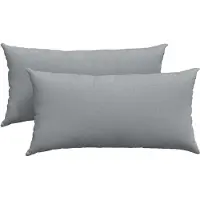 vidaXL Zitkussens 2 st Stof Lichtgrijs 80 x 40 cm