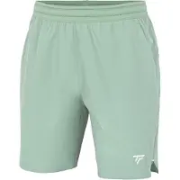 Tecnifibre Team Stretch Shorts Groen XL Man