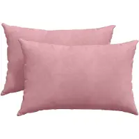 vidaXL Zitkussens 2 pcs Roze 60 x 40 cm Corduroy stof