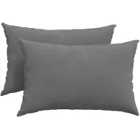 vidaXL Zitkussens 2 pcs Donkergrijs 60 x 40 cm Stof