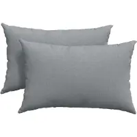 vidaXL Zitkussens 2 st Stof Lichtgrijs 60 x 40 cm