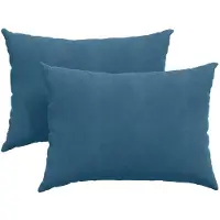 vidaXL Zitkussens 2 pcs Blauw 70 x 50 cm Corduroy stof