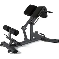 Toorx Professional WBX-B2600 Back Extension