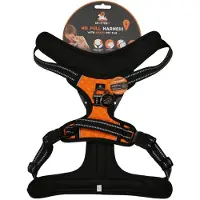 Spotted! Pro Harnas Oranje L