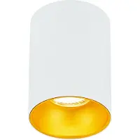 EDO Opbouwspot GU10 rond incl. fitting (Wit/Goud, 11cm hoog)