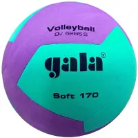 Gala Volleybalbal Zacht 170g Bv5685s Paars