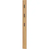 Germania Garderobepaneel 3728 - MDF melaminehars gecoat - B 150 x D 30 x H 1700 mm -3 uitklapbare haken - eiken