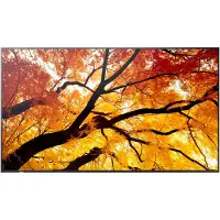 Sharp 60006058 PN-M862 86" M-Series Large Format Display UHD 550cd/m2 D-LED backlight 24/7 proof SDM Slot CM-Slot
