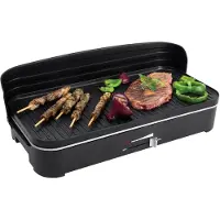 Fritel BBQ 2246