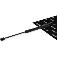 RIDEX 219G1468 Gasveer achterklep