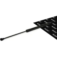 RIDEX 219G1913 Gasveer achterklep