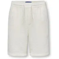 Only & Sons Junior Broek 'OSJTel-Pas' wit