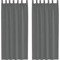 vidaXL Gordijnen voile met lussen 2 st 140x245 cm donkergrijs