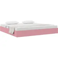vidaXL Ottoman Bedframe met opslag Roze 200 x 200 cm Fluweel