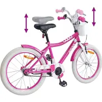 vidaXL Kinderfiets 20 Inch voor 6-11 jaar oud Roze