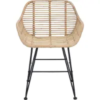 vidaXL Eetkamerstoel 2 st Riet en Ijzer Naturel 55 x 50 x 74 cm