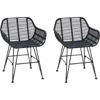 vidaXL Eetkamerstoel 2 st Riet en Ijzer Zwart 55 x 50 x 74 cm