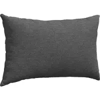 vidaXL Zitkussens 2 pcs Donkergrijs 50 x 30 cm Corduroy stof