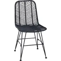 vidaXL Eetkamerstoel 2 st Riet en Ijzer Zwart 44,5 x 54,5 x 85 cm